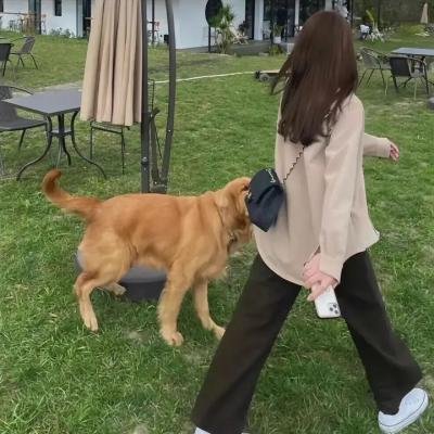 卧底杀机